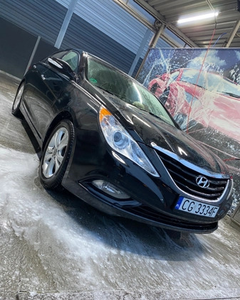 Hyundai Sonata cena 33000 przebieg: 225000, rok produkcji 2010 z Wrocław małe 379